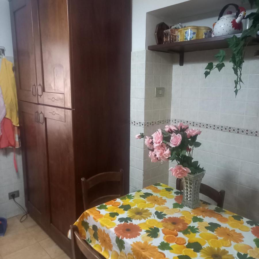 Il Nido Di Mamma E Babbo Lägenhet Civitavecchia Exteriör bild